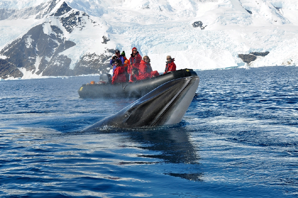 vacanze in catamarano con skipper Antartico